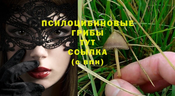 круглые Алзамай