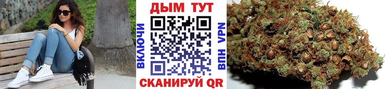 блэк спрут рабочий сайт  Полярные Зори  Шишки марихуана Amnesia 